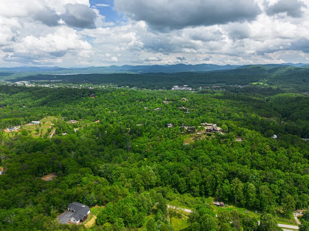 Tract 1 Century Lane, Blue Ridge GA 30513 - Photo