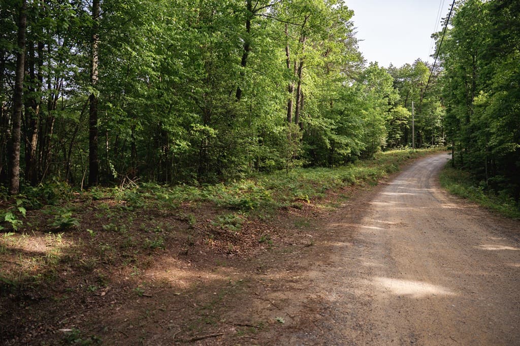 Tract 1 Century Lane, Blue Ridge GA 30513 - Photo