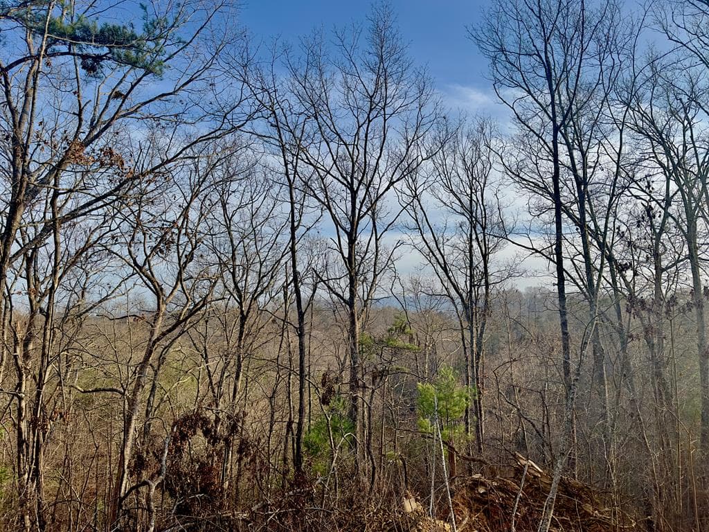 Tract 1 Century Lane, Blue Ridge GA 30513 - Photo
