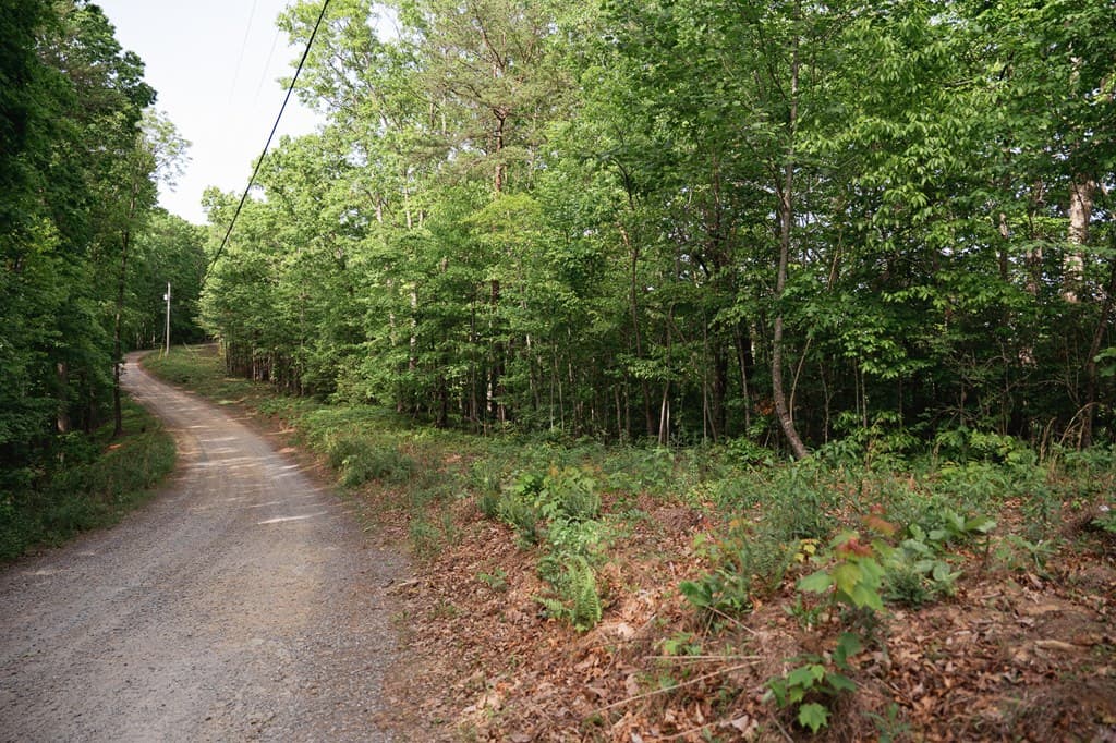Tract 1 Century Lane, Blue Ridge GA 30513 - Photo