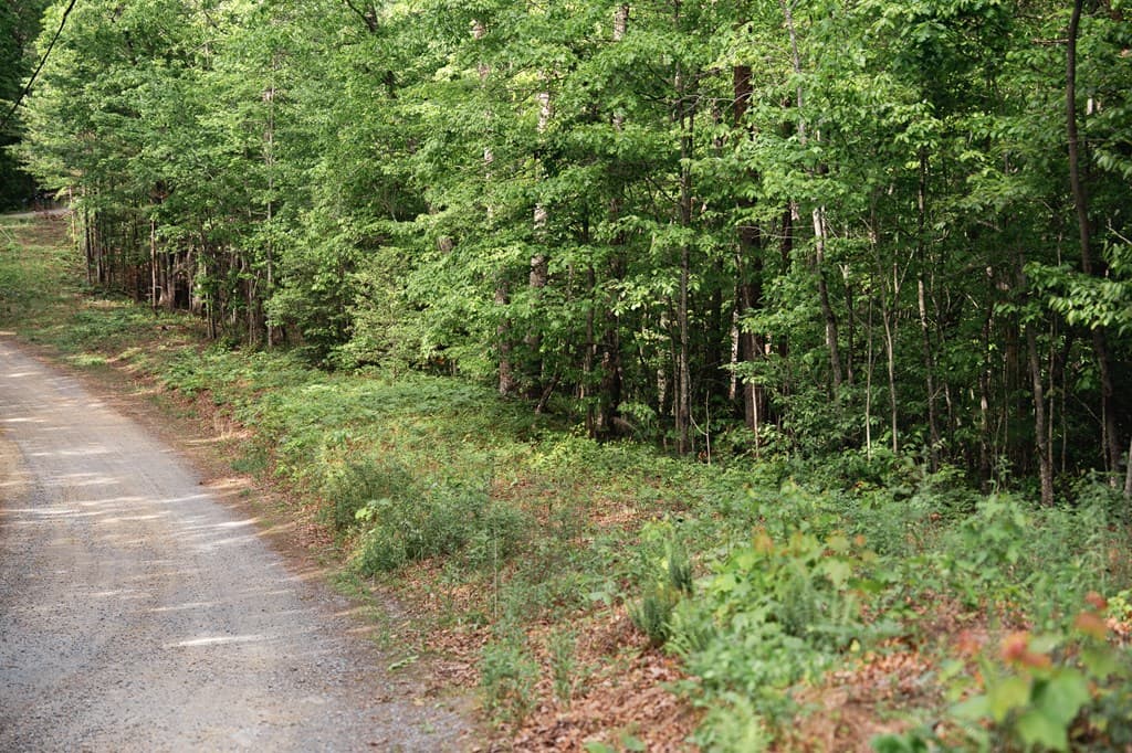Tract 1 Century Lane, Blue Ridge GA 30513 - Photo