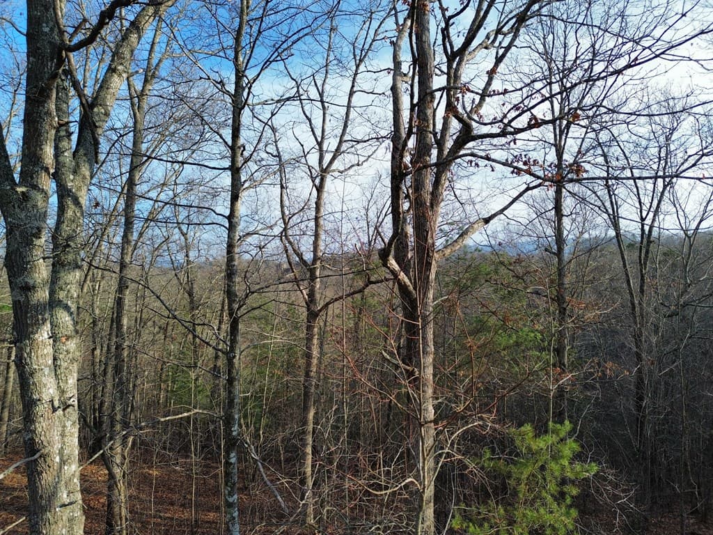 Tract 1 Century Lane, Blue Ridge GA 30513 - Photo