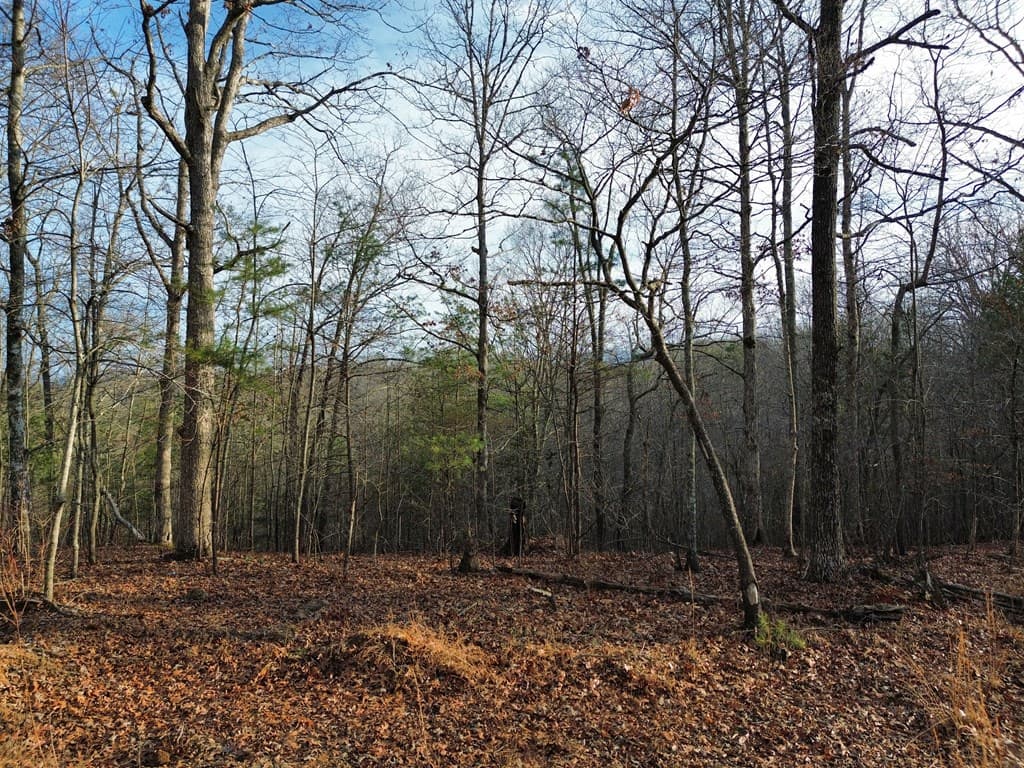 Tract 1 Century Lane, Blue Ridge GA 30513 - Photo