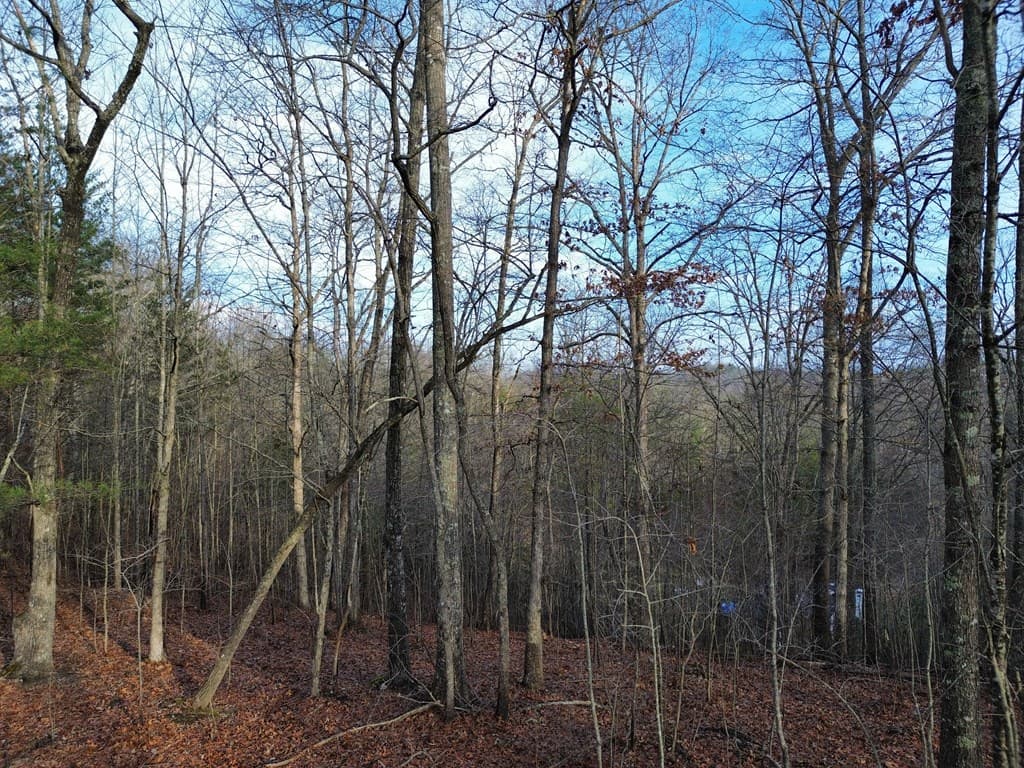 Tract 1 Century Lane, Blue Ridge GA 30513 - Photo