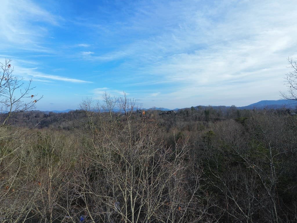 Tract 1 Century Lane, Blue Ridge GA 30513 - Photo