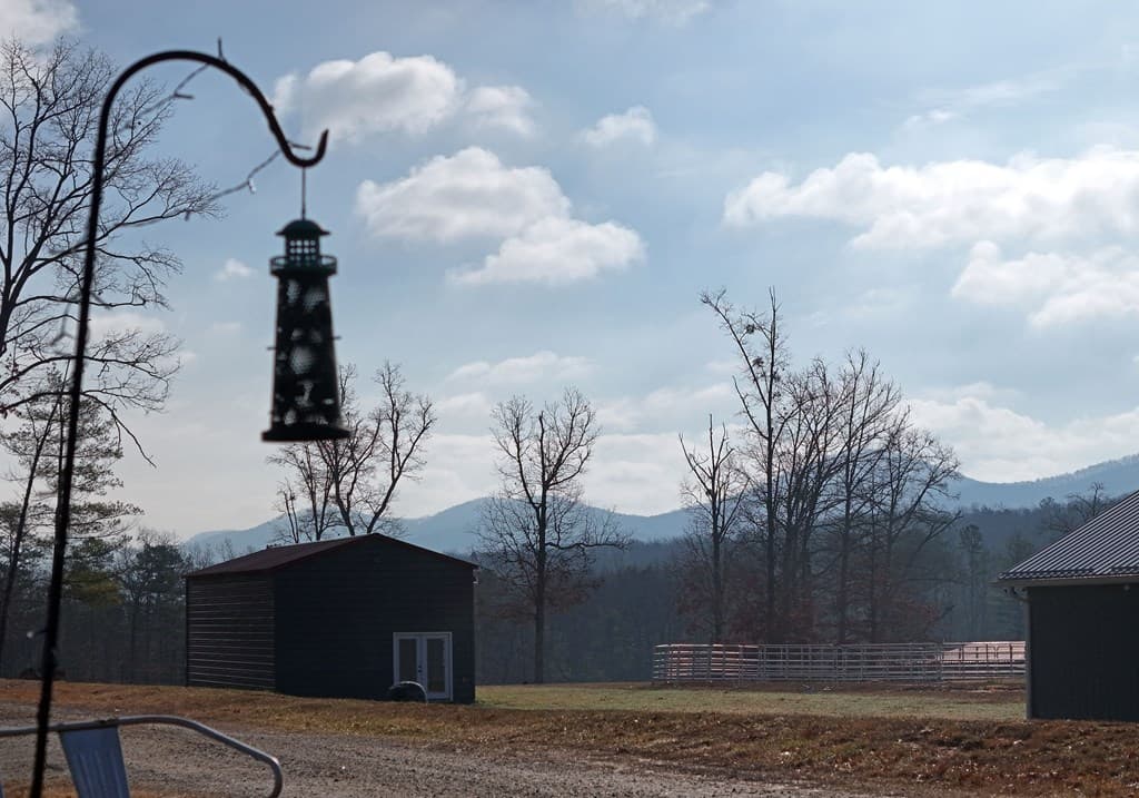 41 Old Wilscott Lane, Blairsville GA 30512 - Photo
