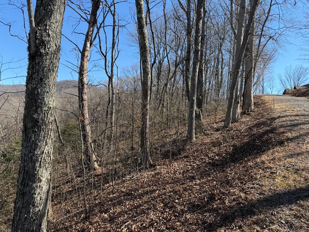 Lot 54 NW Majestic View Circle, Murphy NC 28906 - Photo