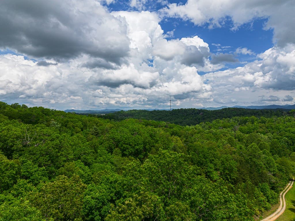 Tract 2 Century Lane, Blue Ridge GA 30513 - Photo
