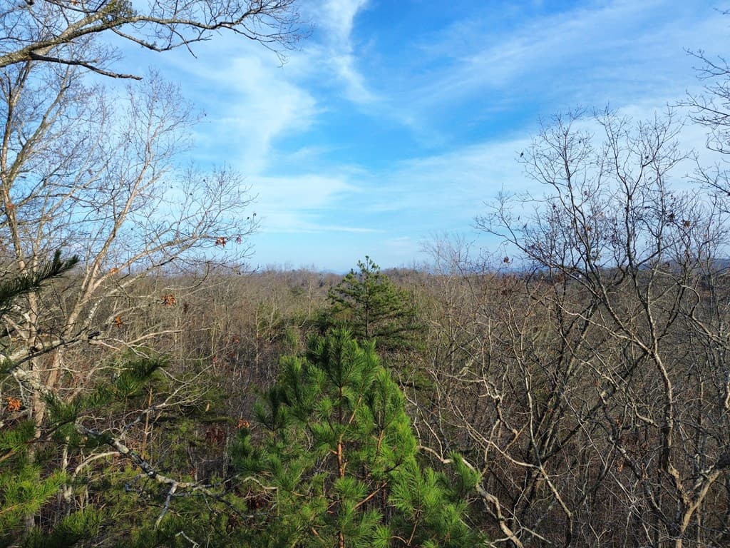 Tract 2 Century Lane, Blue Ridge GA 30513 - Photo