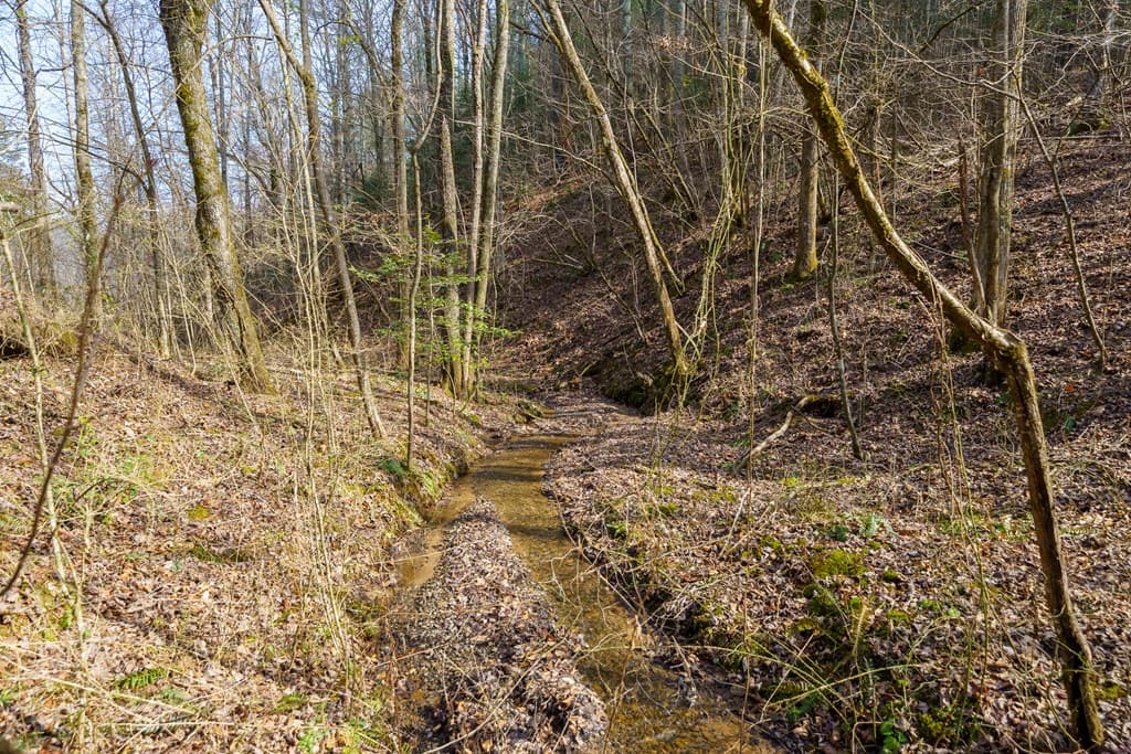 12 ACRE Pleasant Gap Road, Ellijay GA 30540 - Photo