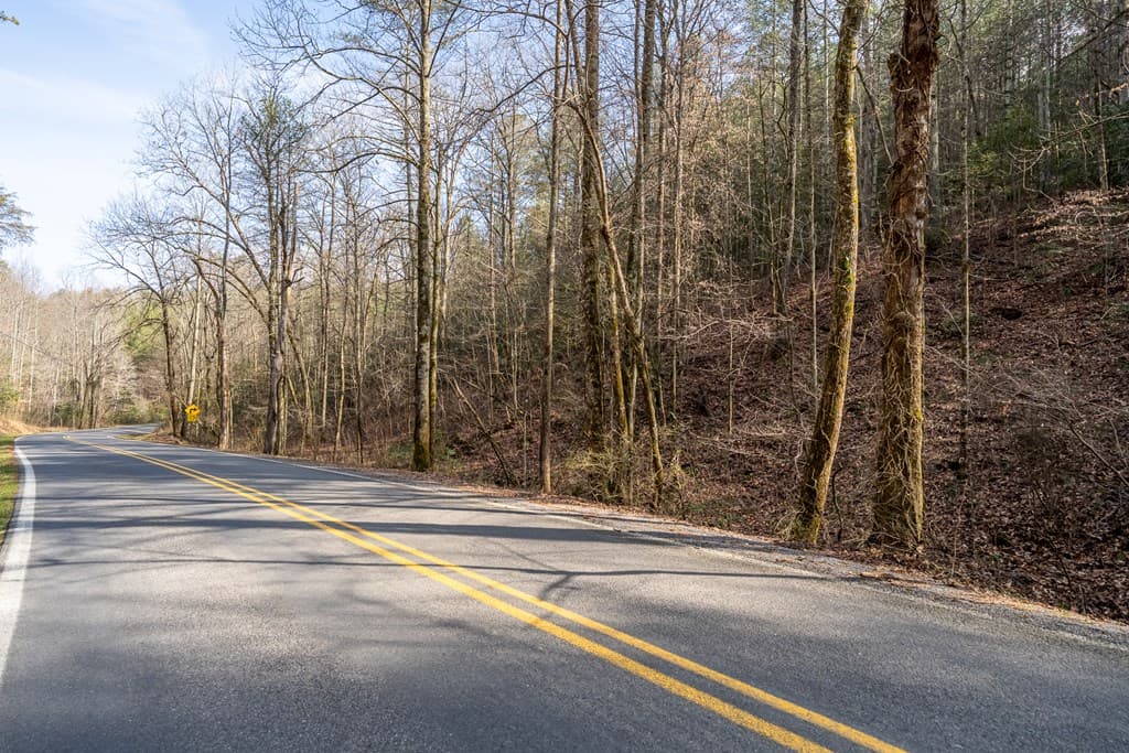 12 ACRE Pleasant Gap Road, Ellijay GA 30540 - Photo