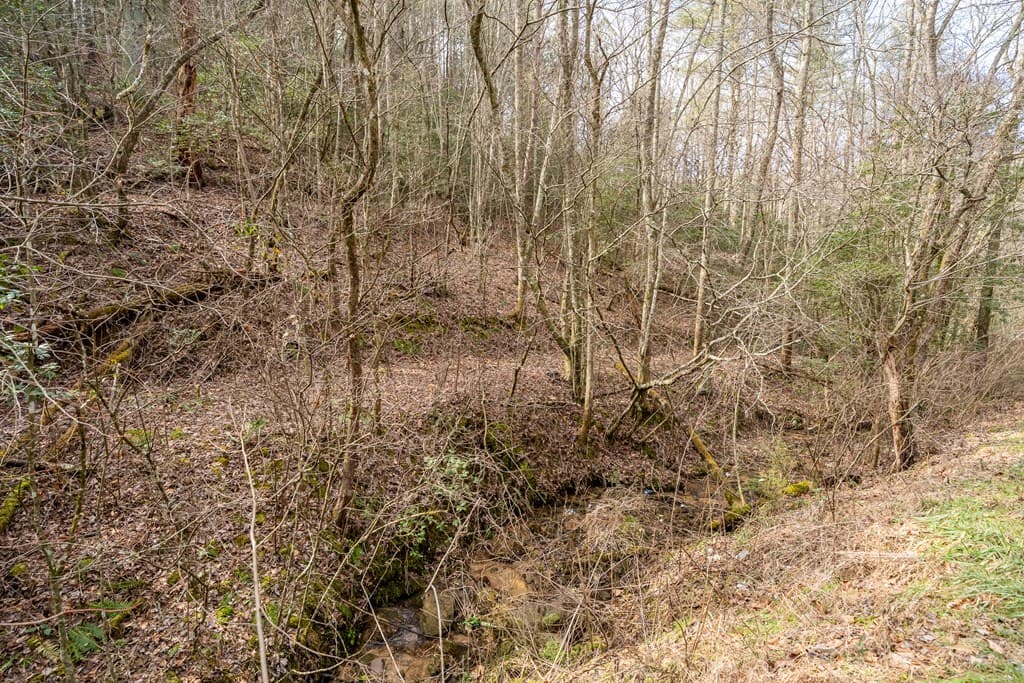 12 ACRE Pleasant Gap Road, Ellijay GA 30540 - Photo