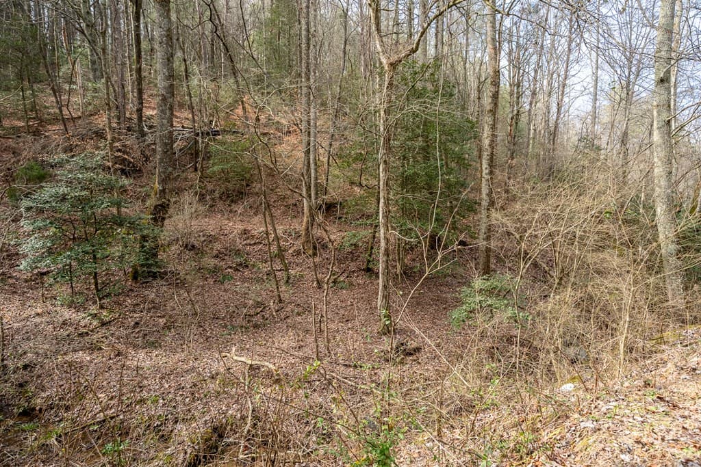 12 ACRE Pleasant Gap Road, Ellijay GA 30540 - Photo