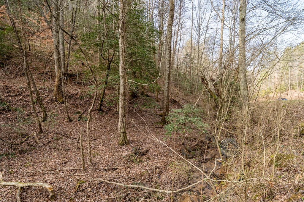 12 ACRE Pleasant Gap Road, Ellijay GA 30540 - Photo