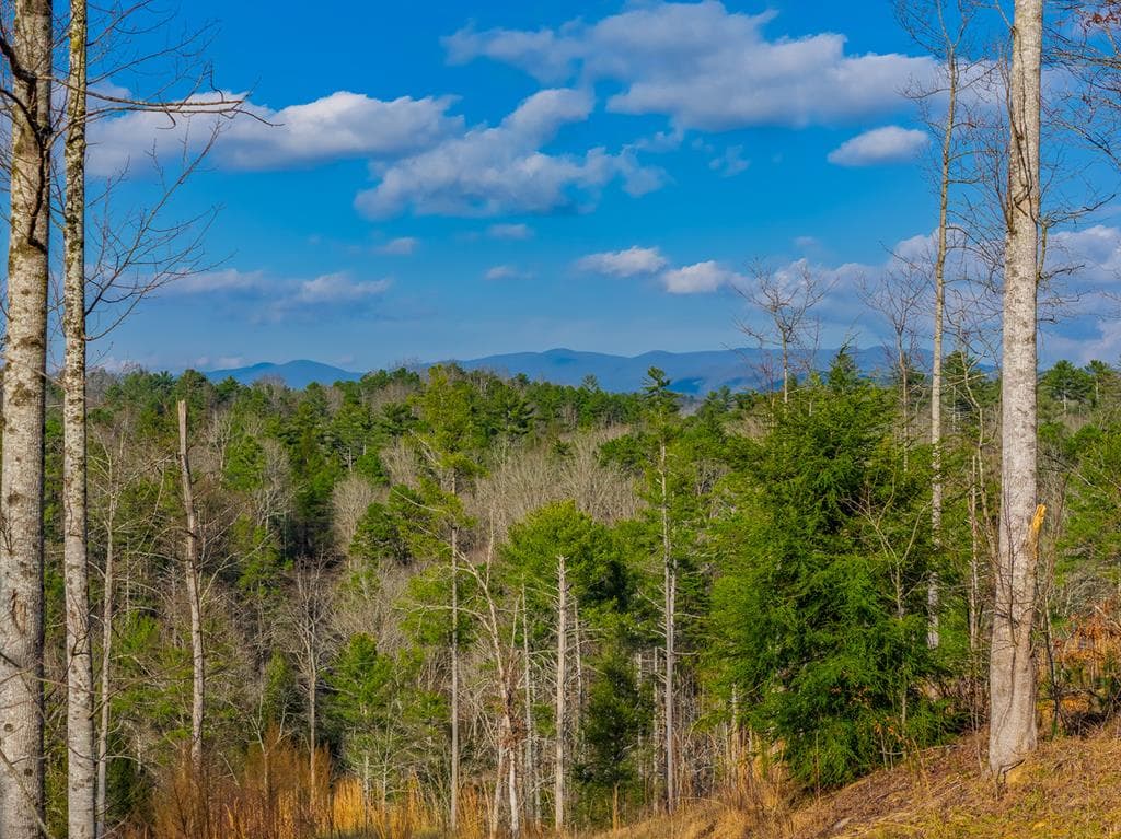 Tract A Hicks Ford Road, Ellijay GA 30540 - Primary photo
