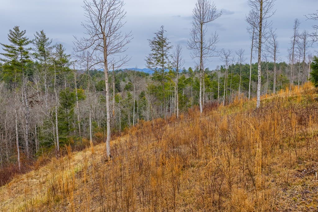 Tract A Hicks Ford Road, Ellijay GA 30540 - Photo