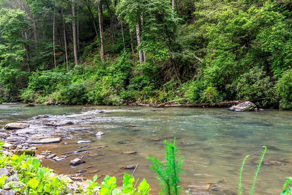 Tract B Hicks Ford Road, Ellijay GA 30540 - Photo