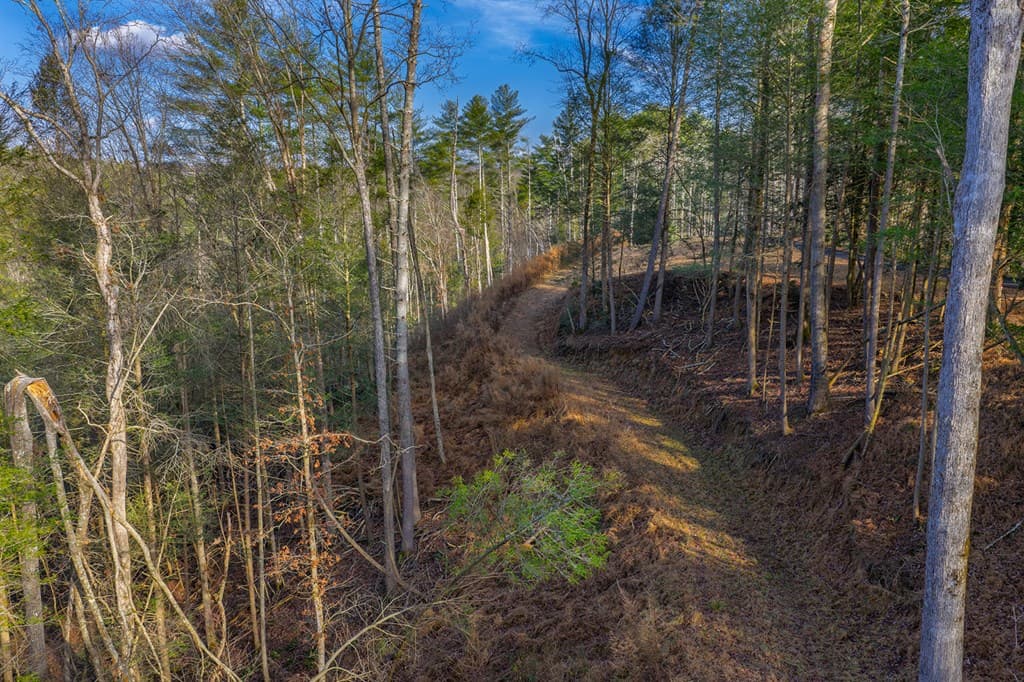 Tract B Hicks Ford Road, Ellijay GA 30540 - Photo