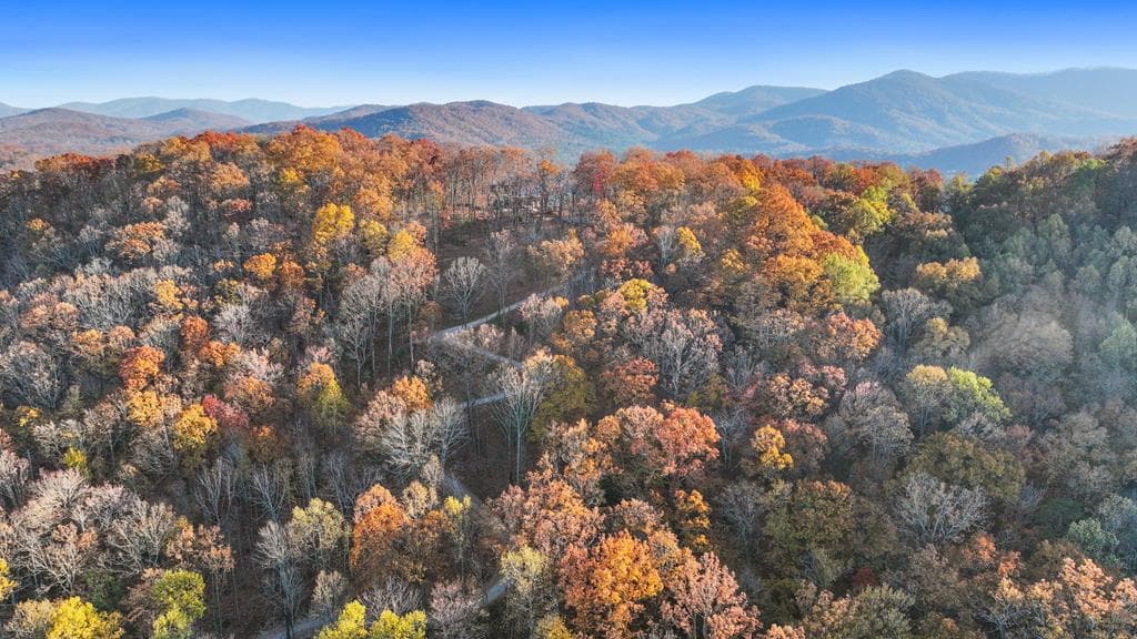 Lot 4 Wilderness Way, Blue Ridge GA 30513 - Photo