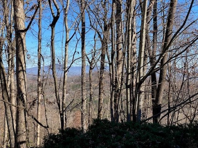 5.91 ac Sunrock Mtn Trace, Blue Ridge GA 30513 - Photo