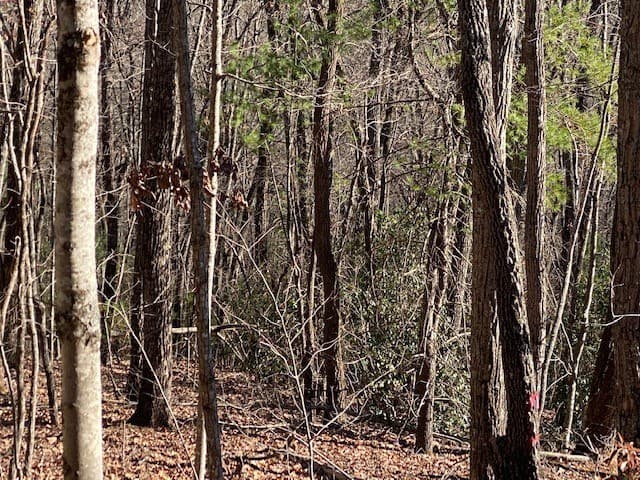 5.91 ac Sunrock Mtn Trace, Blue Ridge GA 30513 - Photo