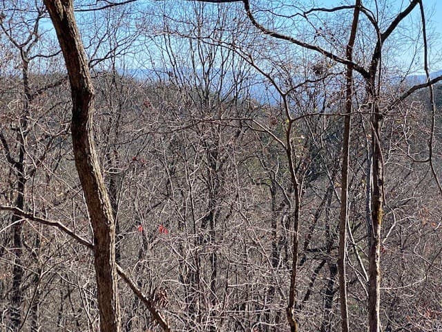 5.91 ac Sunrock Mtn Trace, Blue Ridge GA 30513 - Photo
