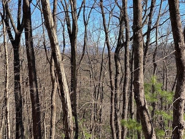 5.91 ac Sunrock Mtn Trace, Blue Ridge GA 30513 - Primary photo