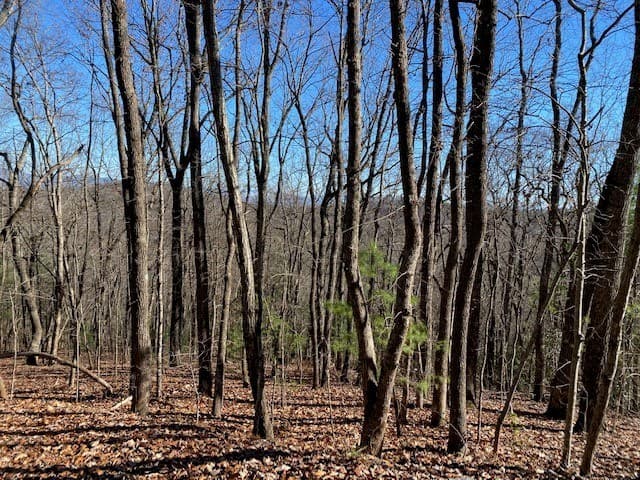 5.91 ac Sunrock Mtn Trace, Blue Ridge GA 30513 - Photo