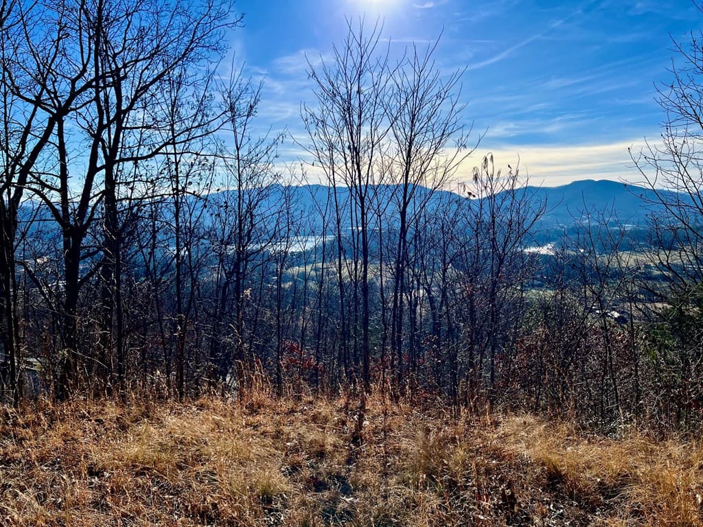 Lot 34 Carlin Road, Hiawassee GA 30546 - Photo