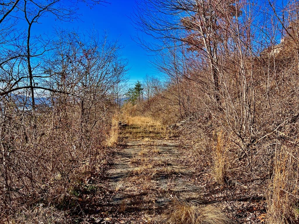 Lot 34 Carlin Road, Hiawassee GA 30546 - Photo