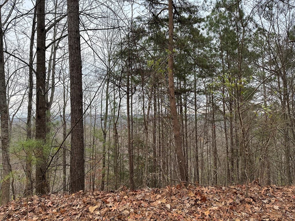 306 Oberlin Court, Ranger GA 30734 - Photo