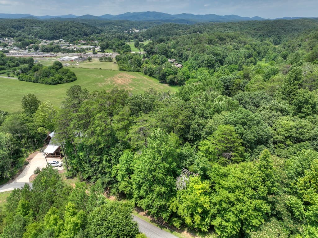 Lot 4 Mountain Trace, Ellijay GA 30540 - Photo