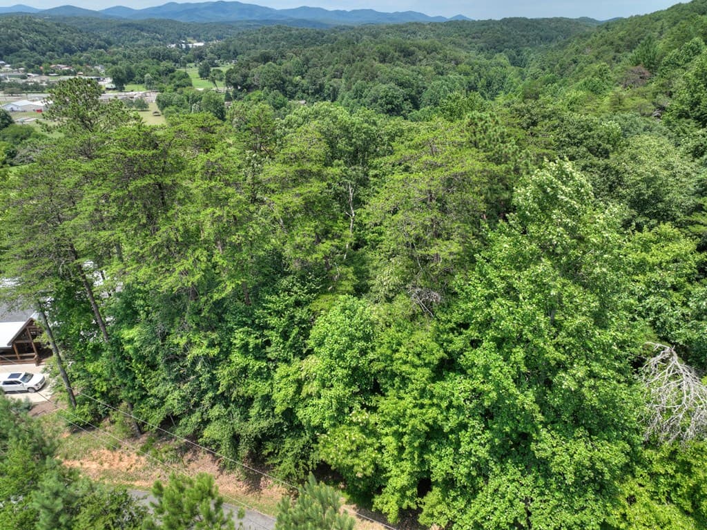 Lot 4 Mountain Trace, Ellijay GA 30540 - Photo