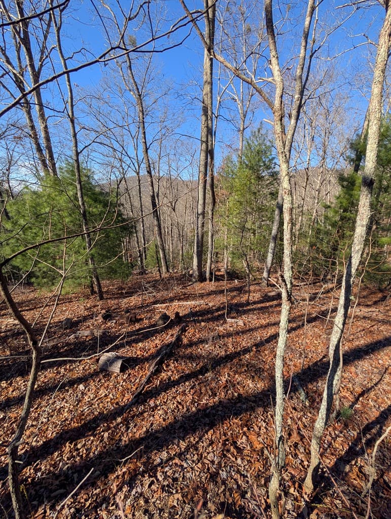LOT 31 Tower Falls Lane, Hayesville NC 28904 - Photo