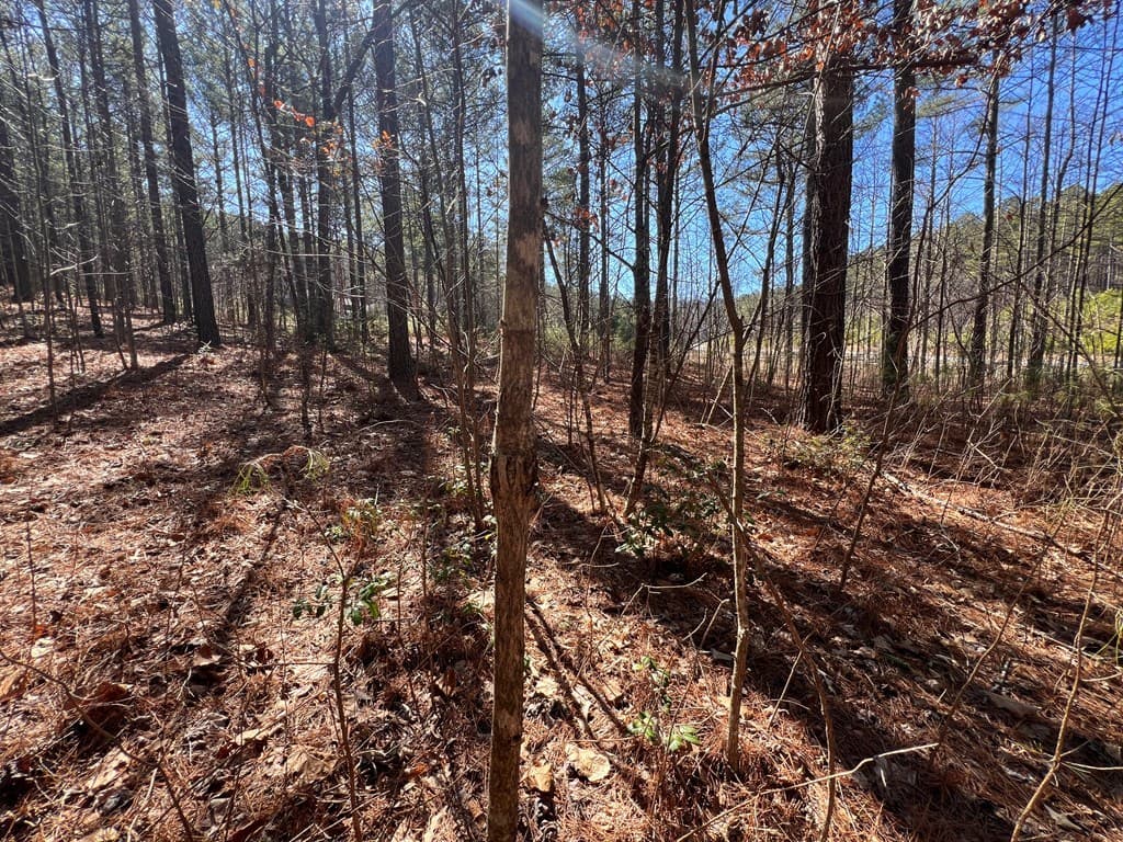 Lot 50 Deyton Drive, Blairsville GA 30512 - Photo