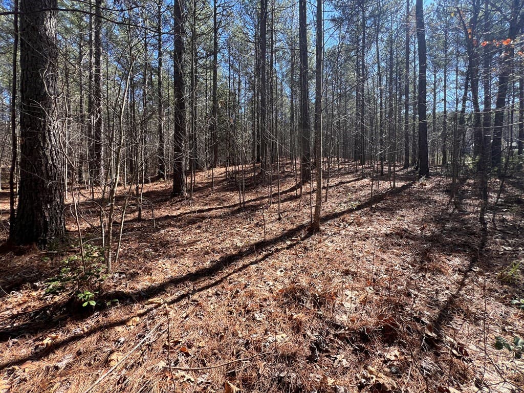 Lot 50 Deyton Drive, Blairsville GA 30512 - Photo