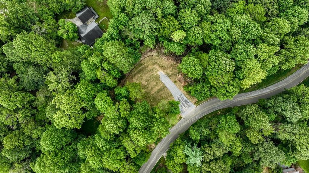 LOT 195 Shenendoa Dr., Ellijay GA 30540 - Photo