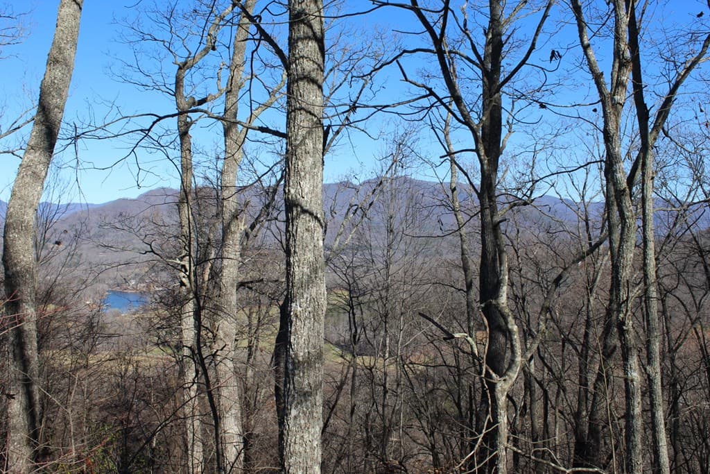 Lot 33 Eagles View, Hayesville NC 28904 - Photo