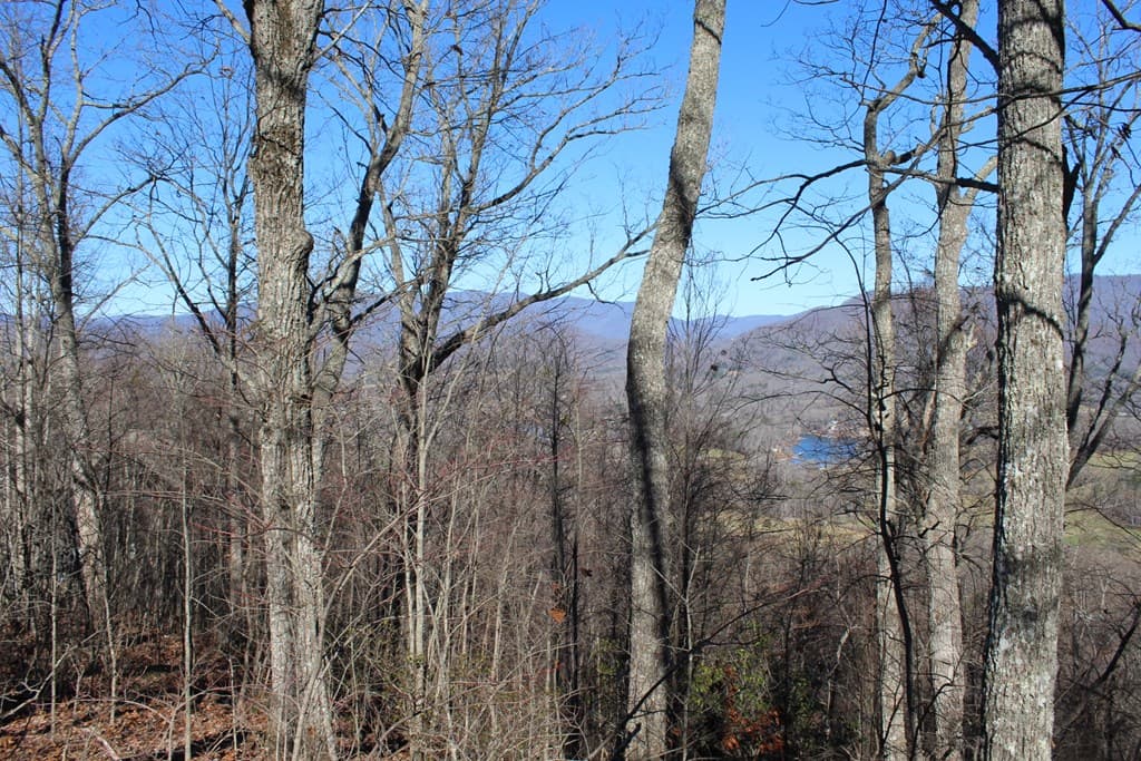 Lot 33 Eagles View, Hayesville NC 28904 - Photo