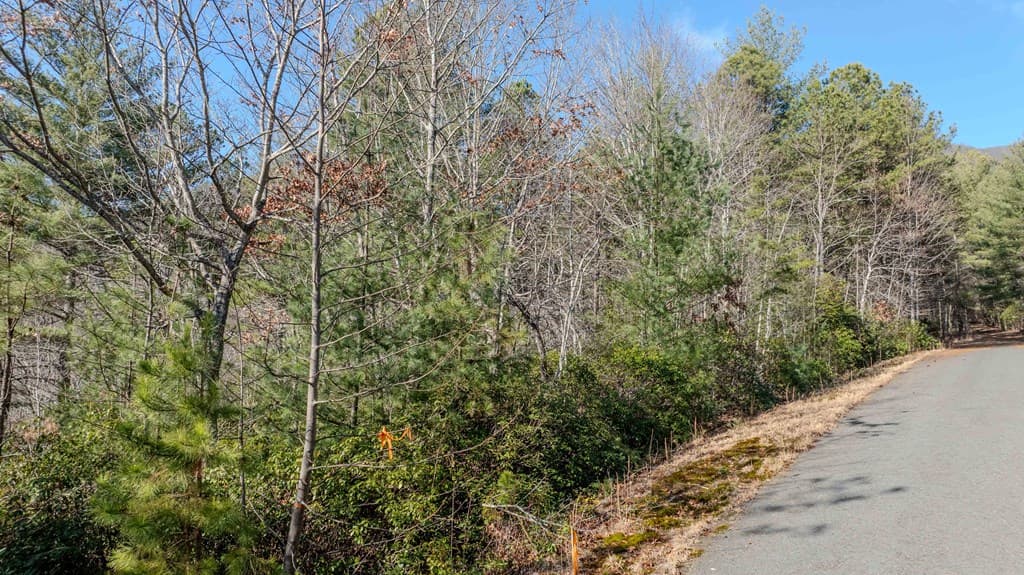 Lot 29 Broadtree Ridge, Hayesville NC 28904 - Photo