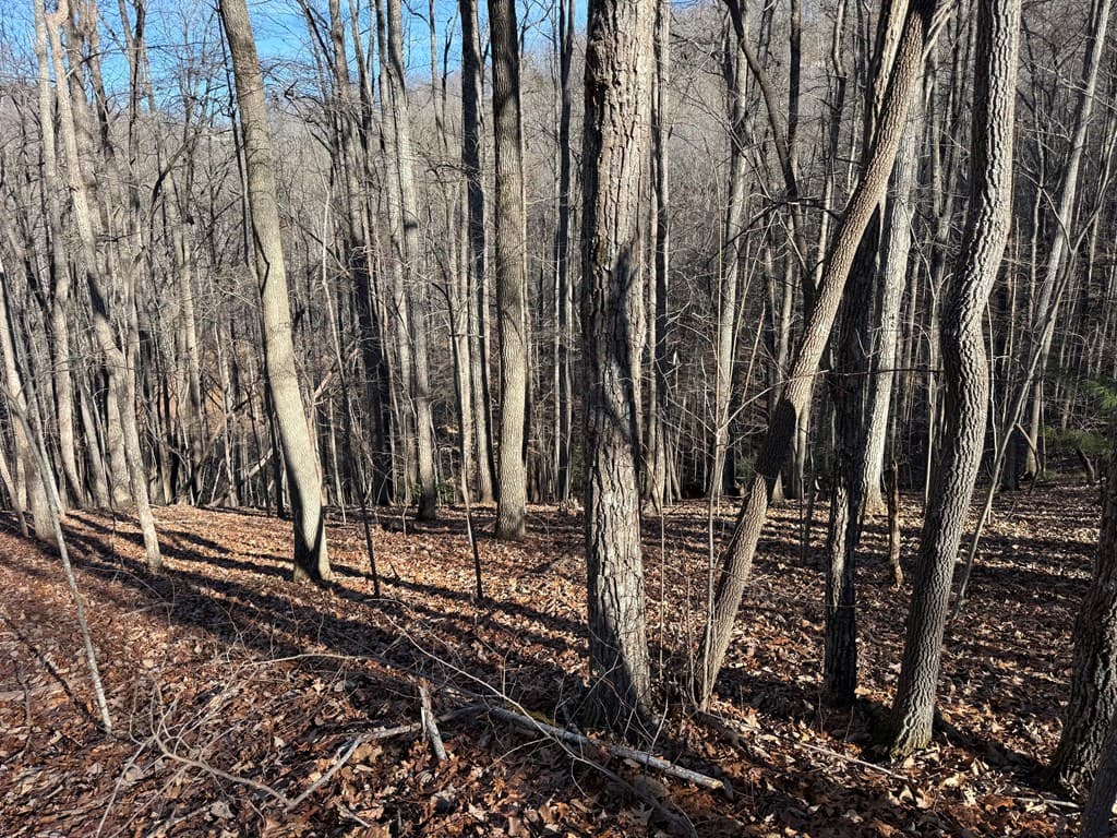 LOT 2 Doc Thomas Ridge Road, Blairsville GA 30512 - Photo