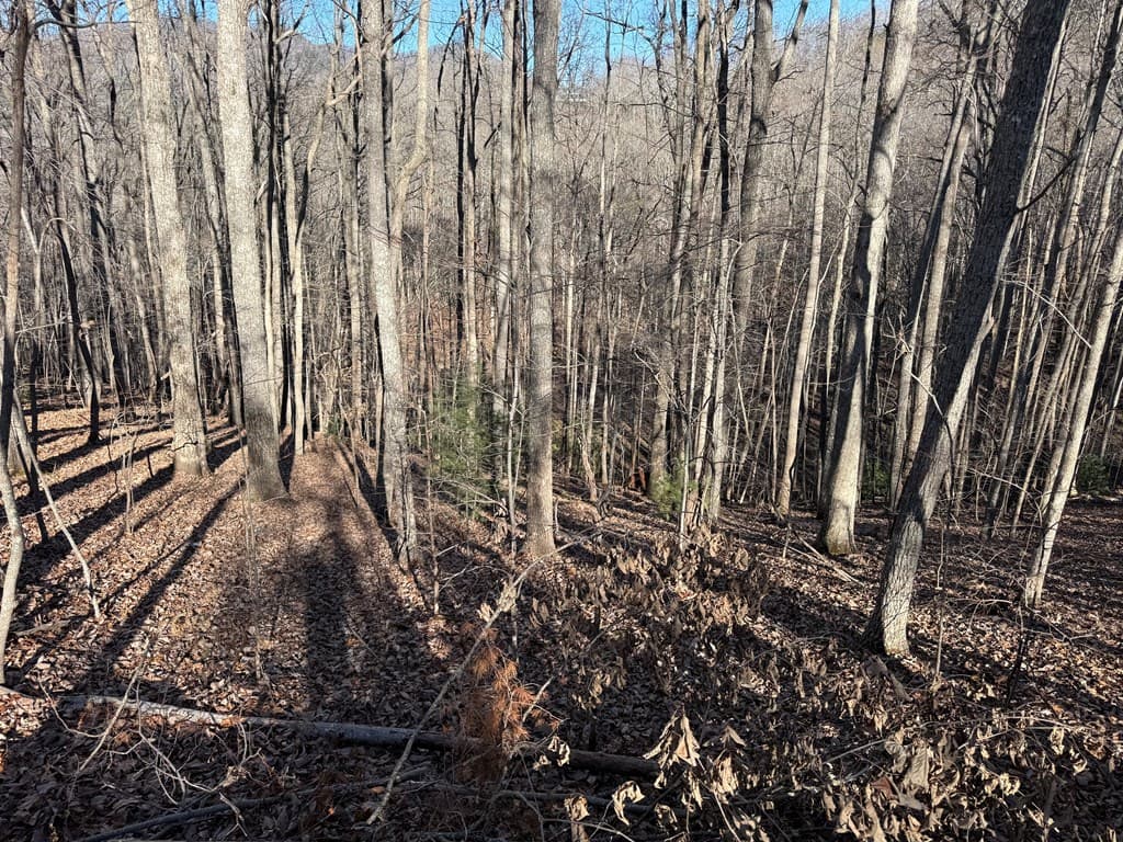 LOT 2 Doc Thomas Ridge Road, Blairsville GA 30512 - Photo