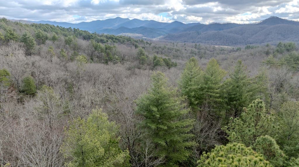 Lts29/30 Broadtree Ridge, Hayesville NC 28904 - Photo