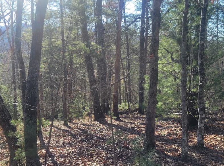 Lot 26 Countryside Lane, Hayesville NC 28904 - Photo