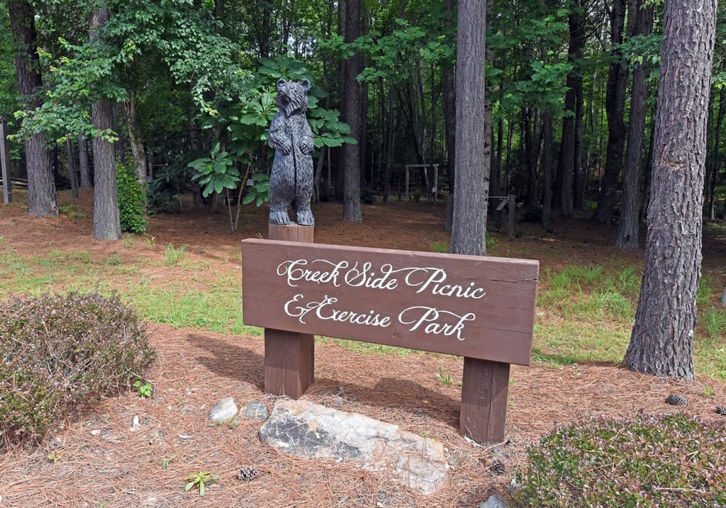 Lot 59 Ridge Peak View, Blairsville GA 30512 - Photo