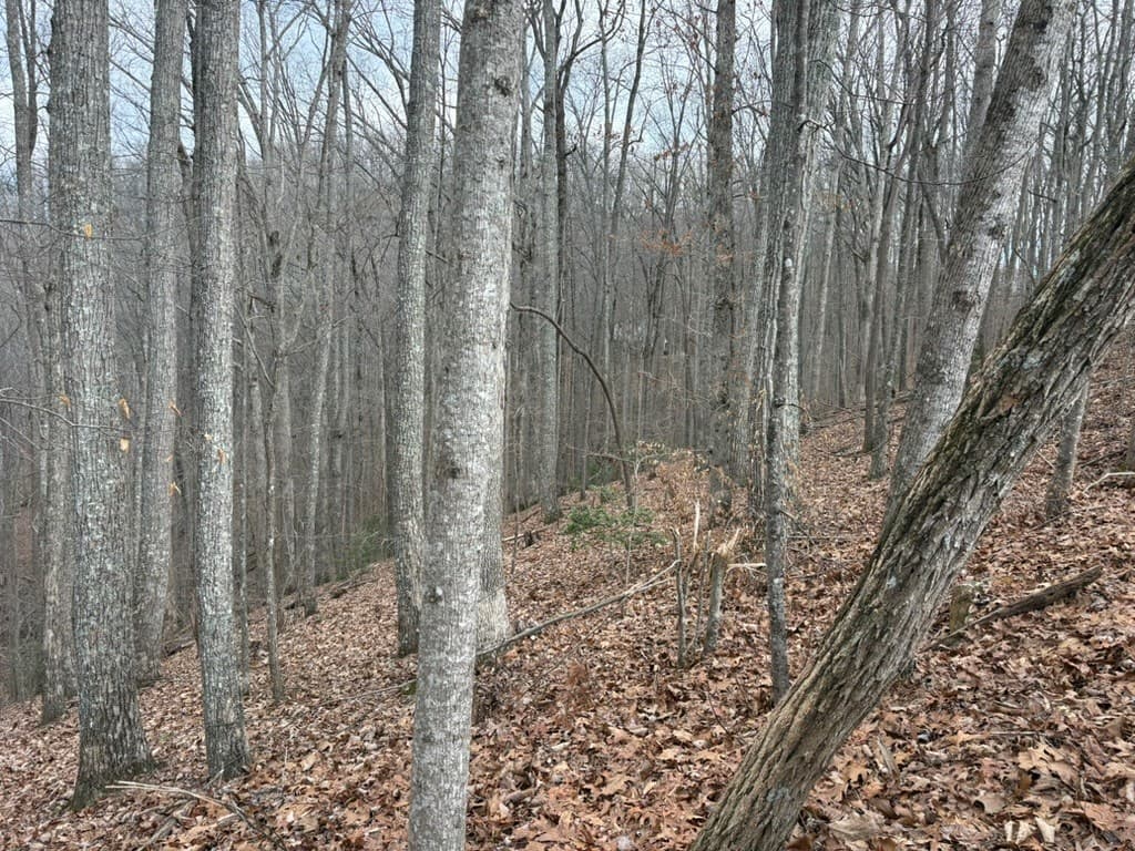 TRACT 3 Doc Thomas Ridge Road, Blairsville GA 30512 - Photo
