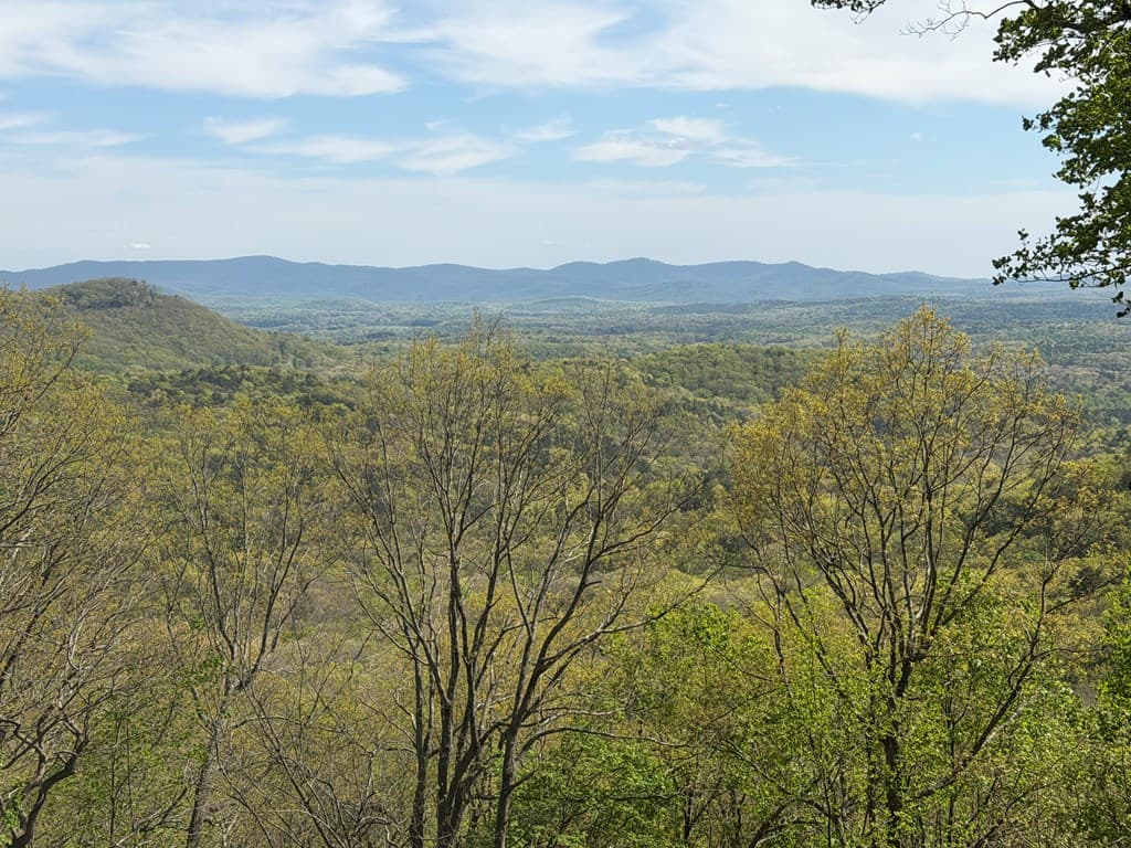 1186 Walnut Ridge, Ellijay GA 30536 - Photo