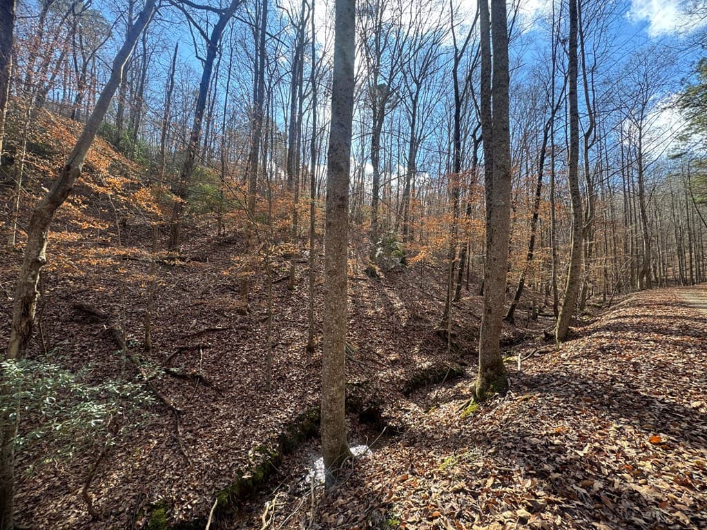 Lot 2749 Nimrod Court, Ellijay GA 30540 - Photo