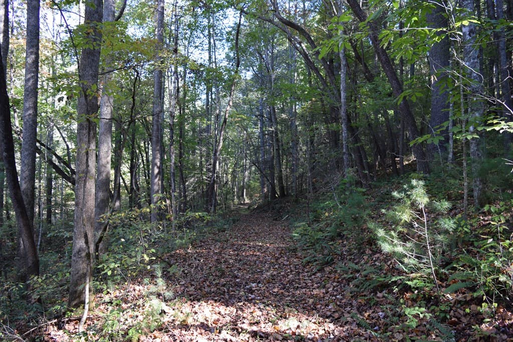 32.98 Ac Zion Hill Road, Ellijay GA 30540 - Photo