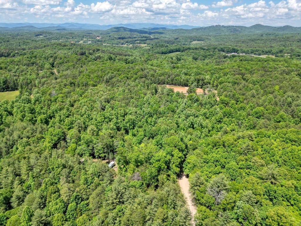 357 Nottely Woods Road E, Blairsville GA 30512 - Photo
